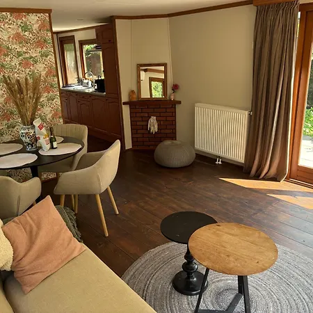 Domek alpejski Het Bosgeluk Met Hottub En Veel Privacy Voorthuizen