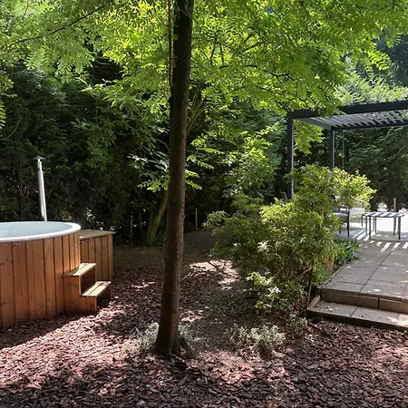 Het Bosgeluk Met Hottub En Veel Privacy Chalet *