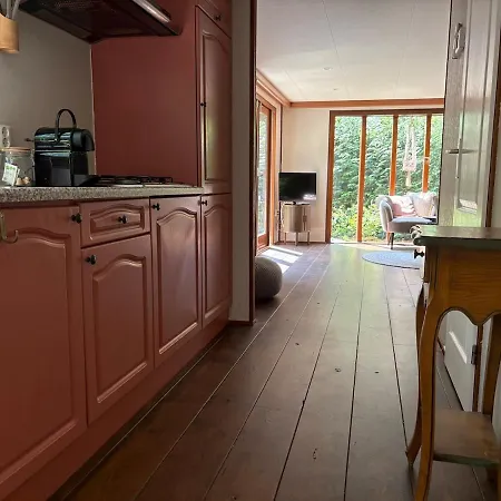 Het Bosgeluk Met Hottub En Veel Privacy Chalet Voorthuizen