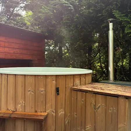 Alpesi faház Het Bosgeluk Met Hottub En Veel Privacy Voorthuizen
