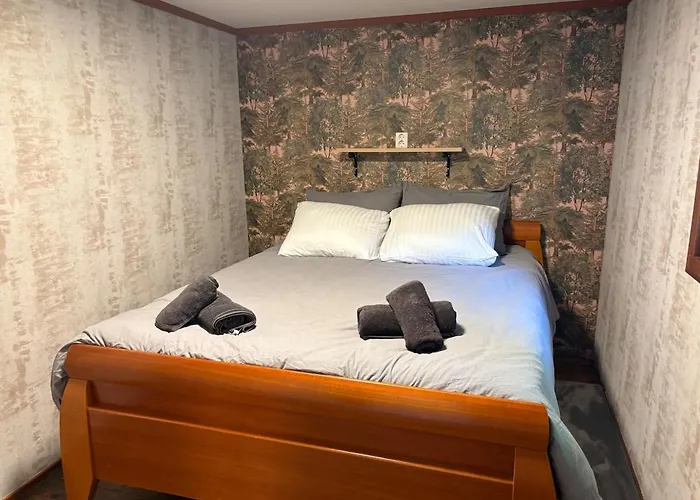 Het Bosgeluk Met Hottub En Veel Privacy Voorthuizen