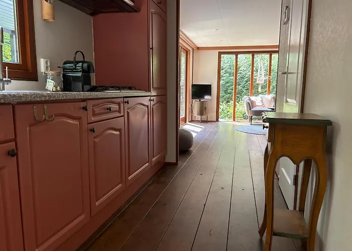 Het Bosgeluk Met Hottub En Veel Privacy Σαλέ Voorthuizen